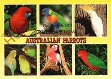 Picture Postcard>>Australian