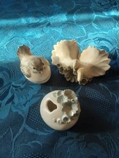 Chessell Pottery I.O. Wight 3