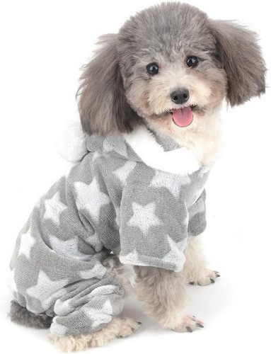Zunea small dog - zunea,