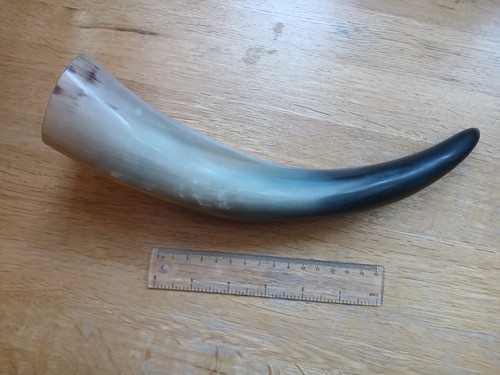 Drinking horn 150ml capacity - drinking,