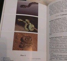 Color Guide To The Snakes Of