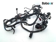 Wiring Harness (Main) Triumph