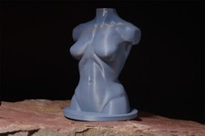 Female Torso Manikin | Female