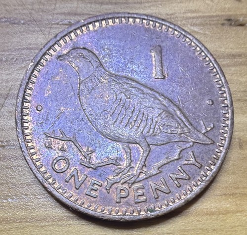 1995 gibraltar barbary - 1995,