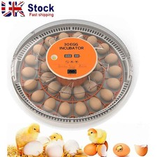 Eggs electric incubator - 30,