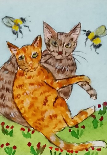Aceo cute ginger tabby - cute, cats