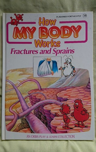 How body works collection - body,