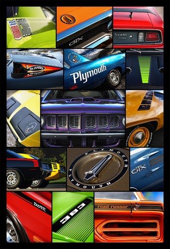 13x19 plymouth rapid transit - plymouth,