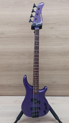 Fernandes series electric - fr,