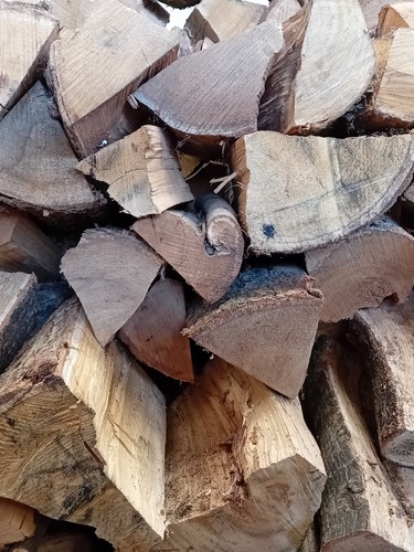 Dumpy bags hardwood logs ready - hardwood,