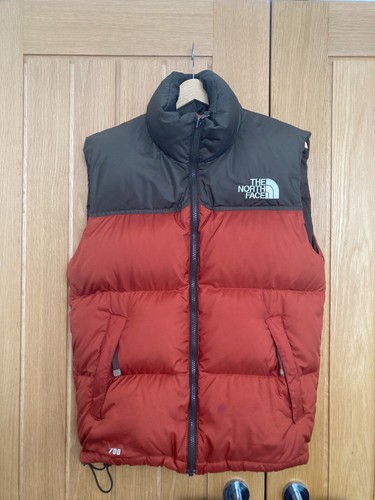 North face 700 down - 700,