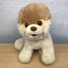 Boo The Worlds Cutest Dog