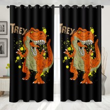 Fashion Dinosaurs Cartoon