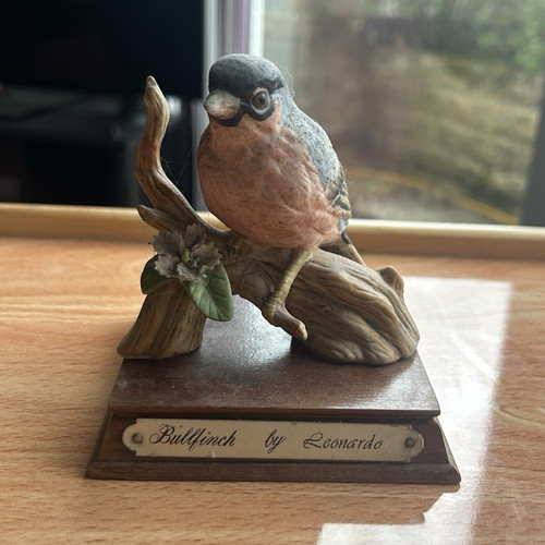 Leonardo bullfinch bird - leonardo,