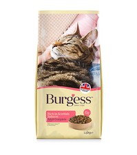 BURGESS SUPACAT ADULT SALMON