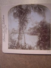 Stereo View Stereoscopic