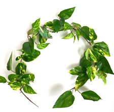 Uv Protected Artificial