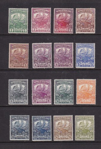 Newfoundland 1919 contingent - newfoundland,