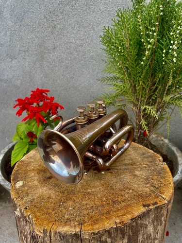 Pocket bugle horn - horn, with
