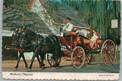 Vintage postcard mulberry - vintage,