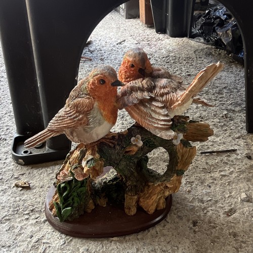 Two robins redbreasts - redbreasts, on
