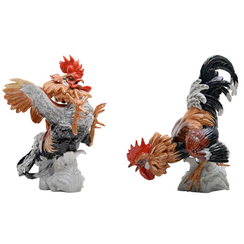 Pair rooster fighting - pair,