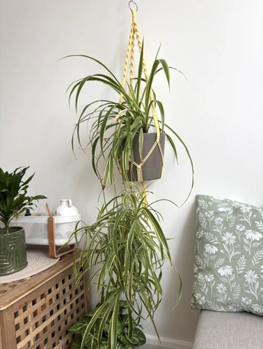 Handmade macrame plant hanger - macrame,