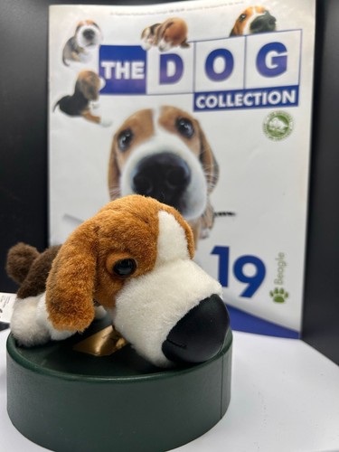 The dog collection beagle - the, (