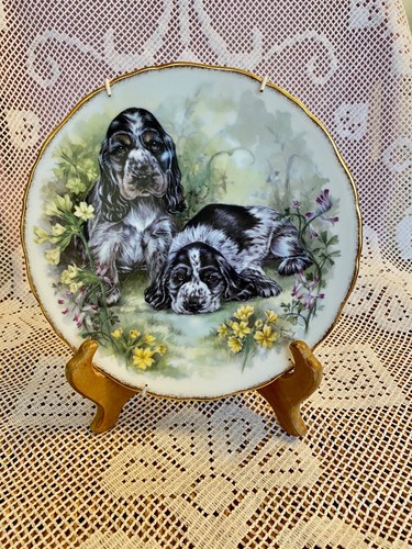 Royal vale collectors plate - vale,