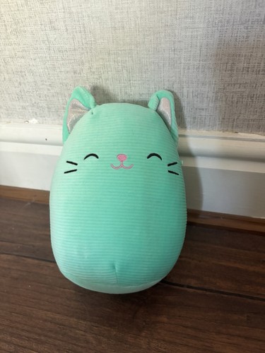 Charisma the cat - charisma,