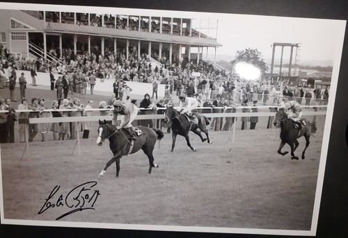 Lester piggott racing - racing, kris