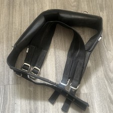 Black Pony Lunge Roller