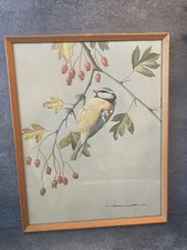 Vintage BASIL EDE Bird Print -