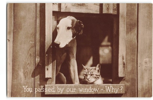 Real photo postcard you - photo,