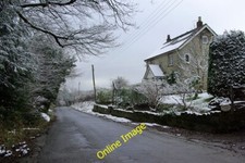 Photo 6x4 chillies farm - 6x4,