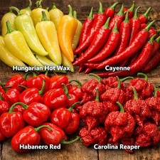 4x chilli Pepper Plug-ONE OF