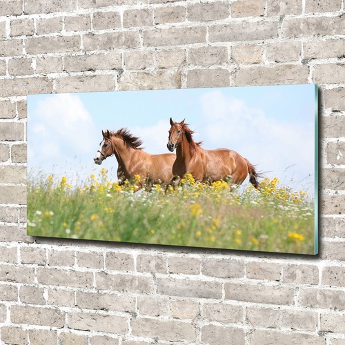Glass picture wall - art, print