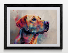 Labrador Dog Framed Canvas