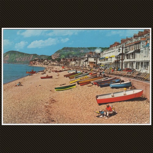Sidmouth beach devon printed - sidmouth,