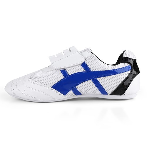 Lightweight taekwondo - lightweight,