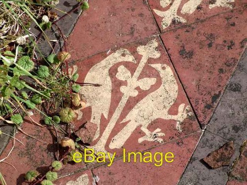 Photo 6x4 floor - photo, tile,