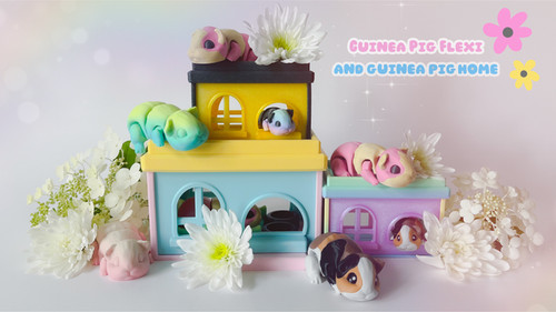 Guinea pig flexi home - flexi, with