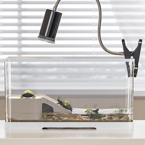 Turtle tank amphibians bottom - turtle,