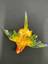 Sun Conure complete Bird Skin