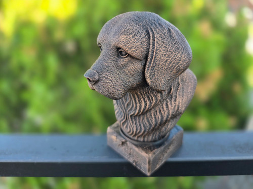 Tibetan spaniel bust - spaniel,