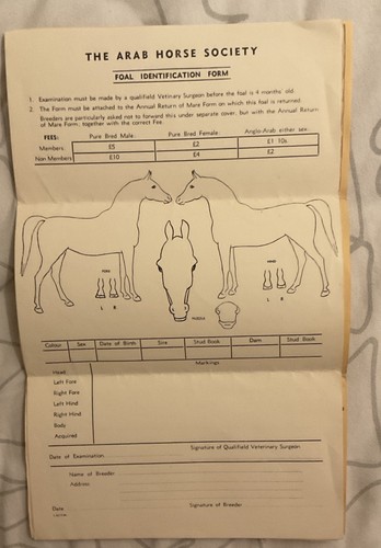 Vintage arab horse society - vintage,
