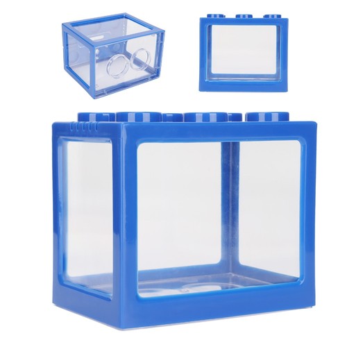 Mini size betta fish - size,