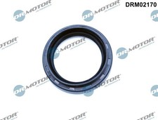 DRM02170 Dr.Motor Automotive