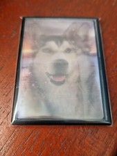 Siberian Husky magnet Siberian