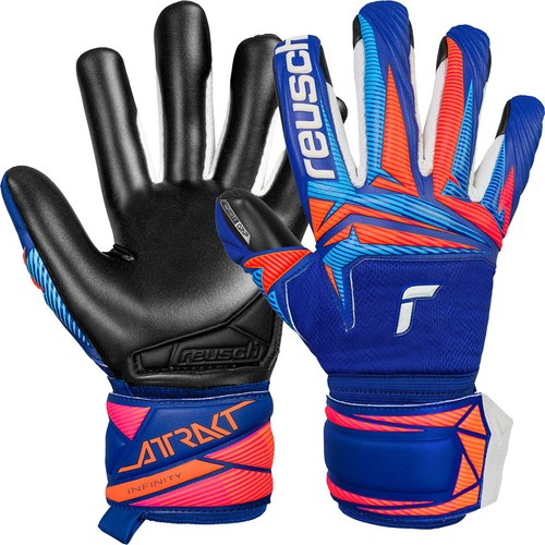Reusch infinity evolution - infinity,